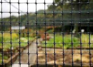 bird netting