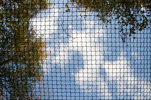 bird netting