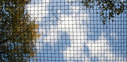 bird netting